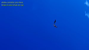 Sora no Aosa wo Shiru Hito yo